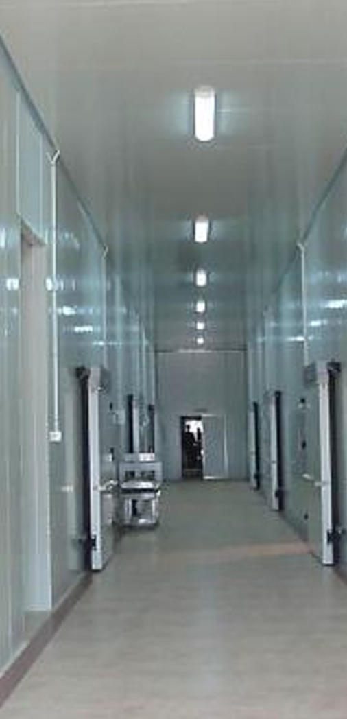 速凍速冷加工冷庫(kù) 速凍速冷加工冷庫(kù)